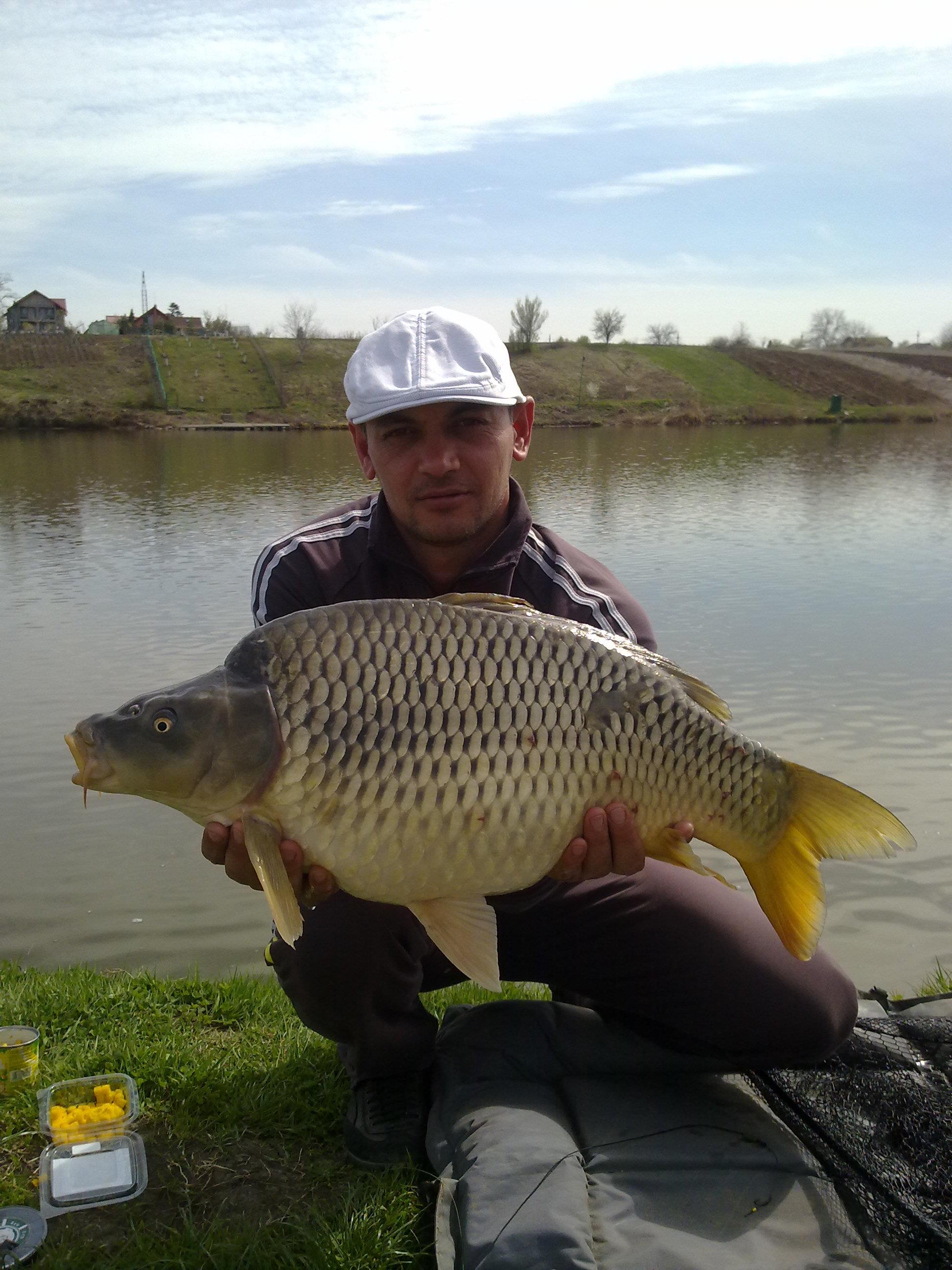 PESCUIT - toamna se numara dulapii..